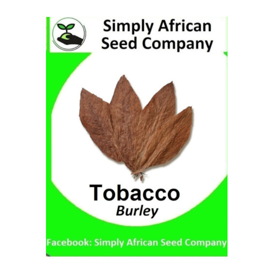 Tobacco Burley (20's)