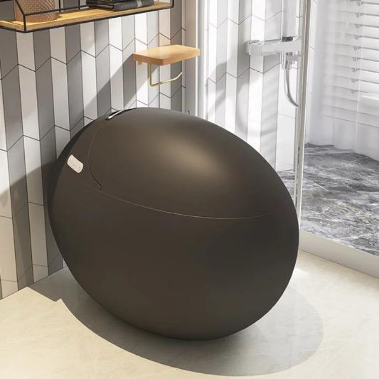 Egg-Shaped Smart Toilet with Tankless Bidet & Remote- Black