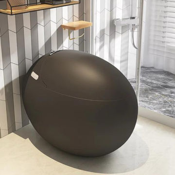 Egg-Shaped Smart Toilet with Tankless Bidet & Remote- Black