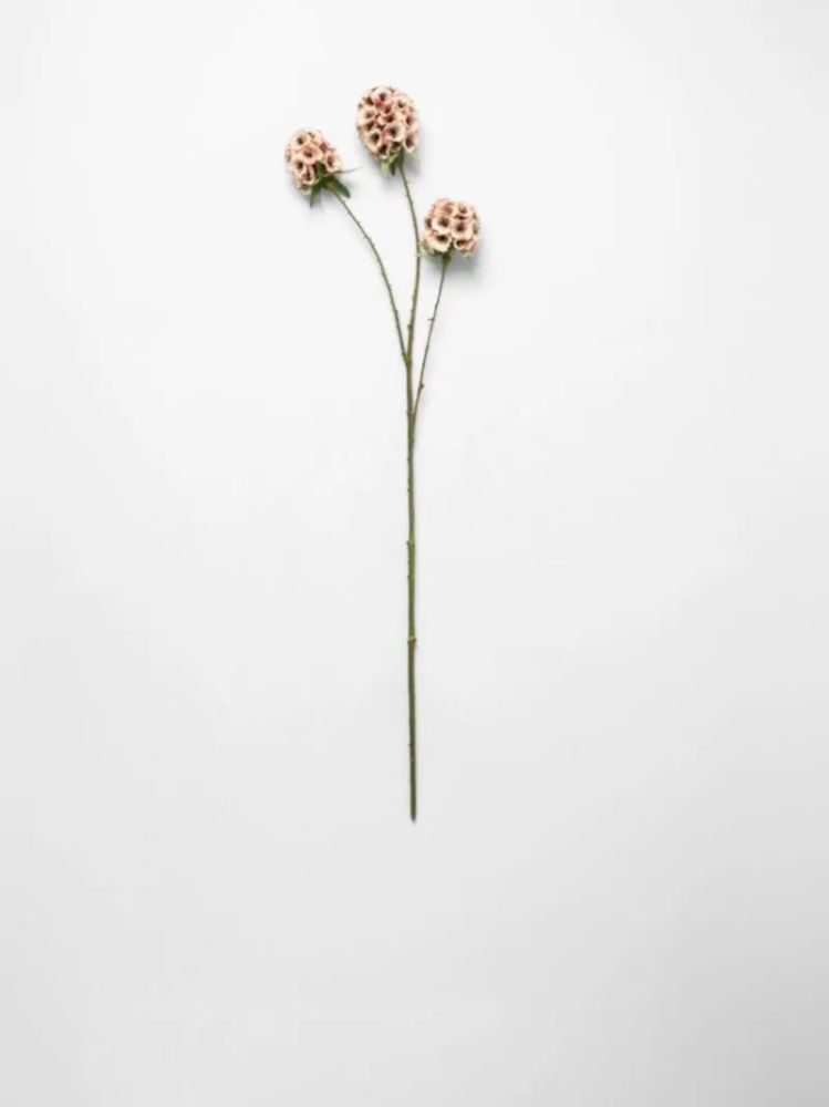 Pristimera Stem Pink 71cm – Faux Decorative Floral Stem