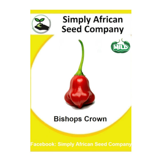 Bishops Crown 12's