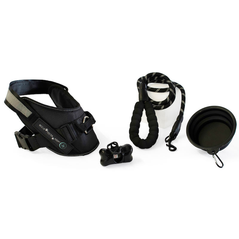Luna Life “Lets Go” Premium Harness, Leash, Water Bowl & Poo Bag Kit.
