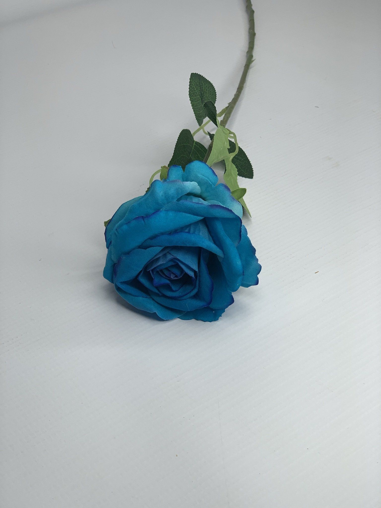 Velvet Rose Blue 60Cm