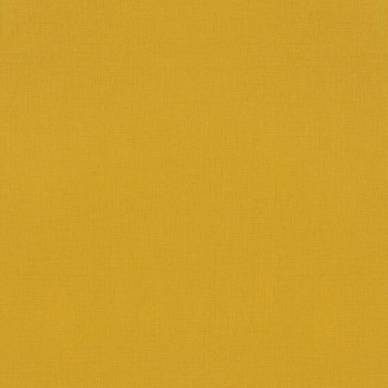 YELLOW PLAIN AMAZING COLLECTION