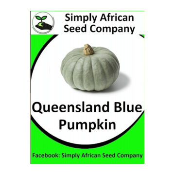 Pumpkin Queensland Blue (20's)