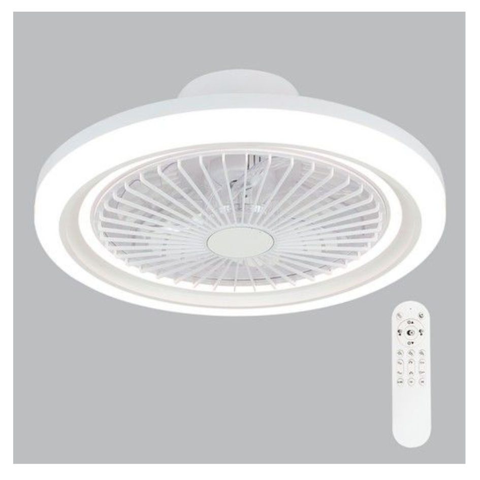 Ceiling Fan with Remote Control