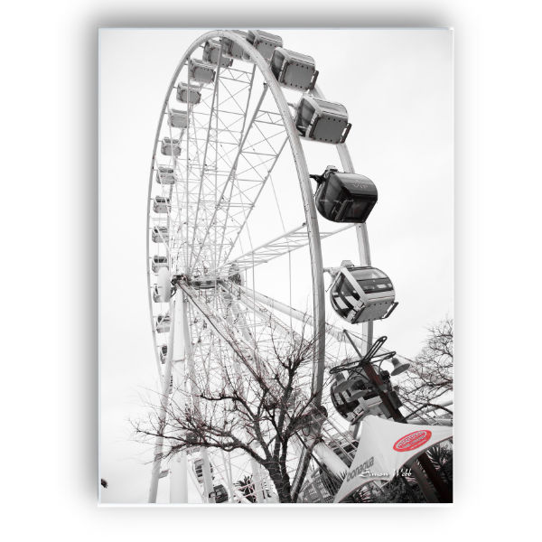 Signature Series A1 Canvas - Ferris Wheel