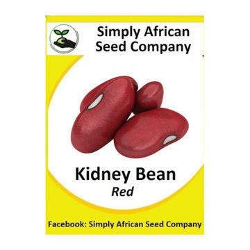 Beans Red Kidney Seeds 20's