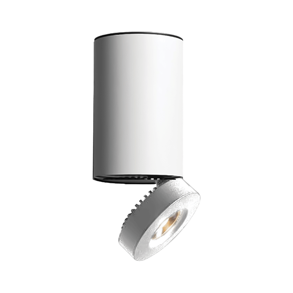 Modern Ceiling Spotlight 12W White DL