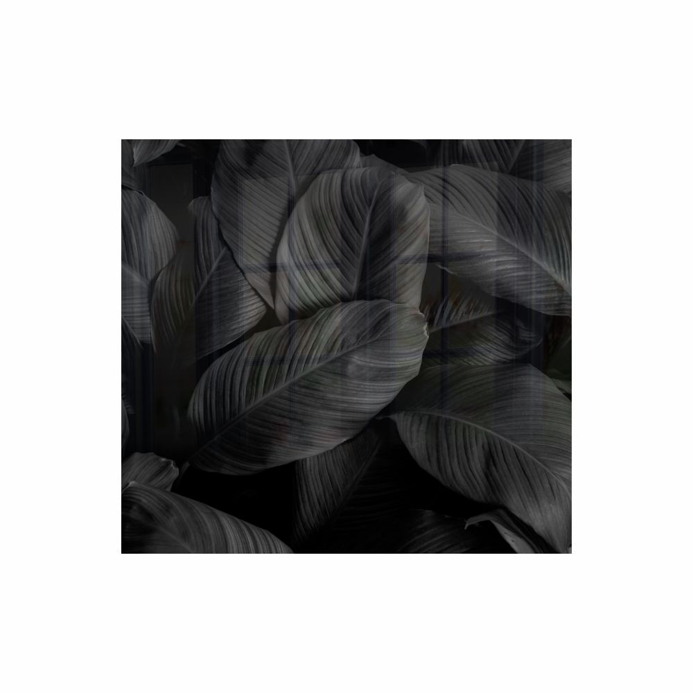 Decorative Glass Wall Tile 598MM X 650MM Feathers