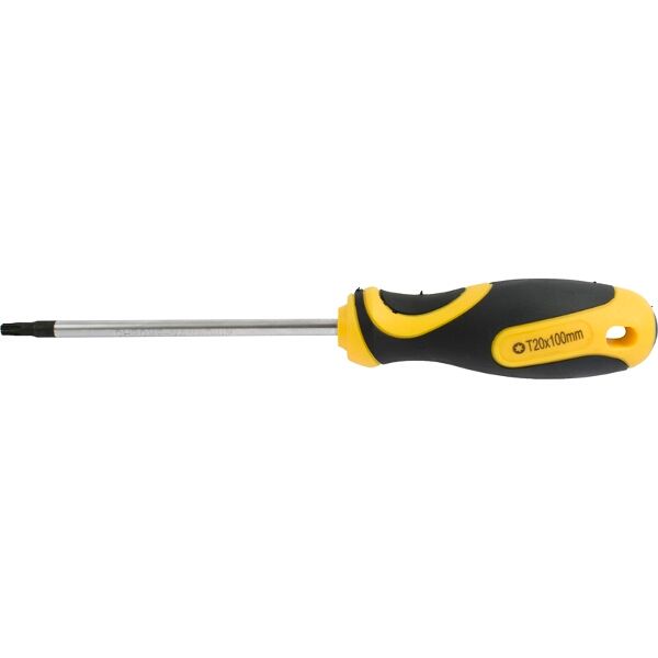 Screwdriver Torx Tamper Proof T20 5X100Mm