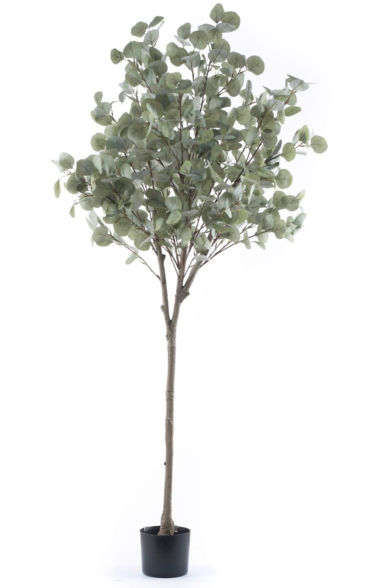 Artificial Premium Eucalyptus Tree - 1700mmH