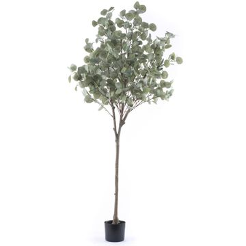 Artificial Premium Eucalyptus Tree - 1700mmH