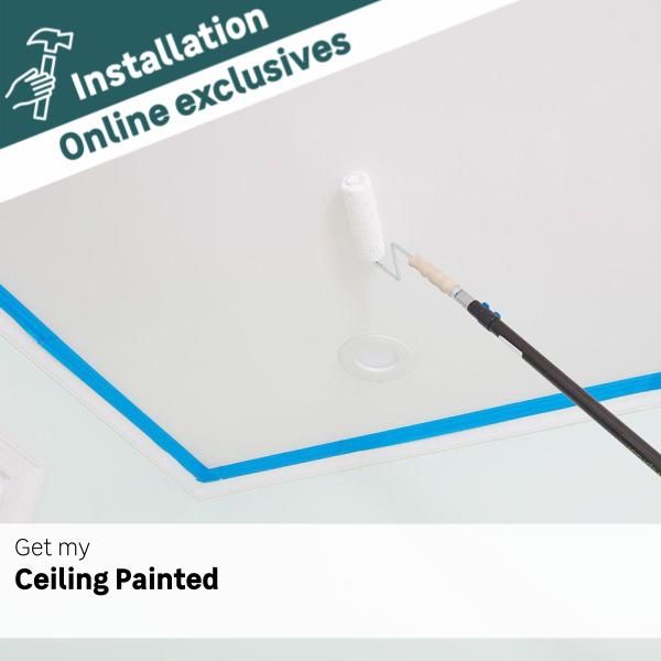 Painter Ceiling Painting Per m2 LEROY MERLIN South Africa