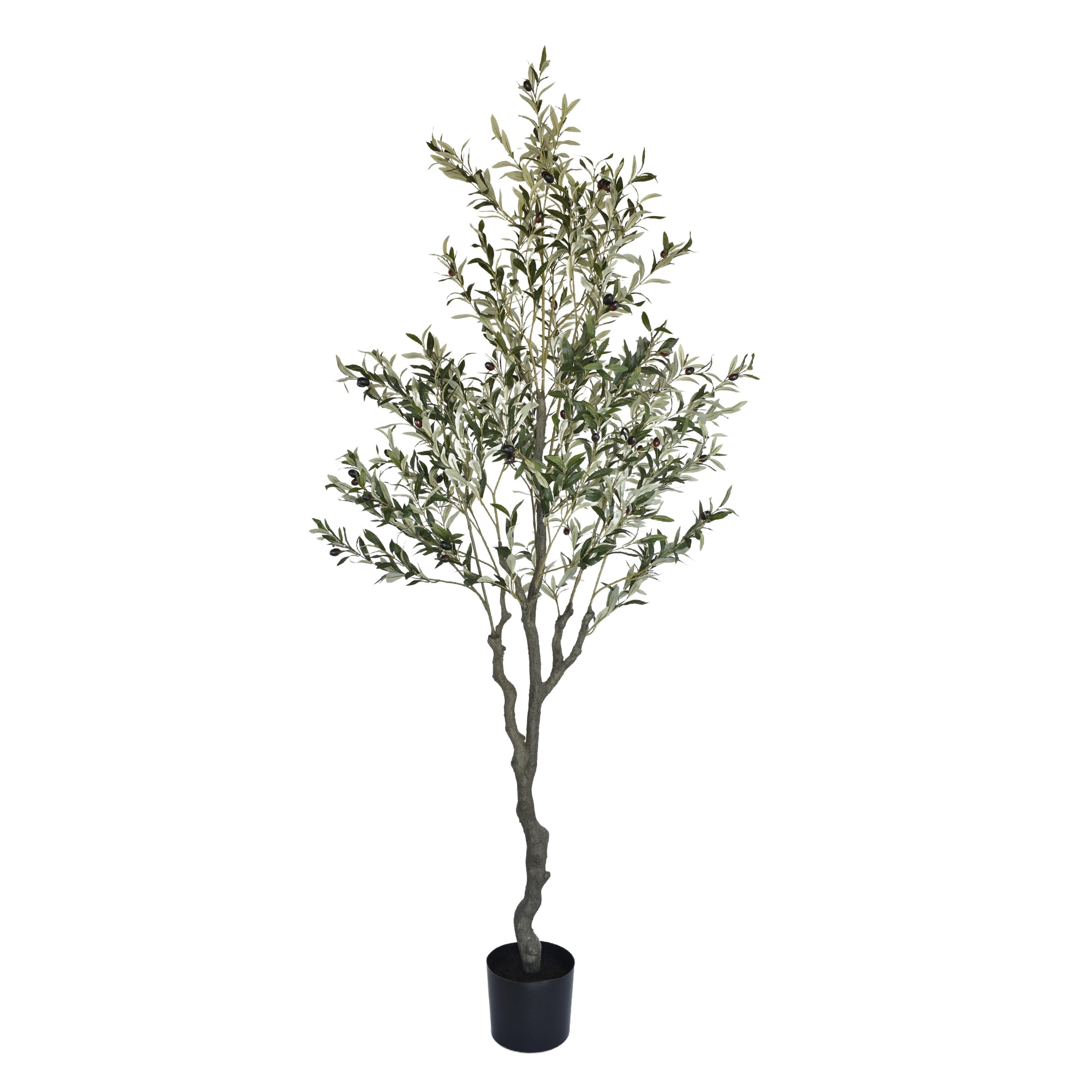 Artificial Olive Tree 210cm – Bloomr