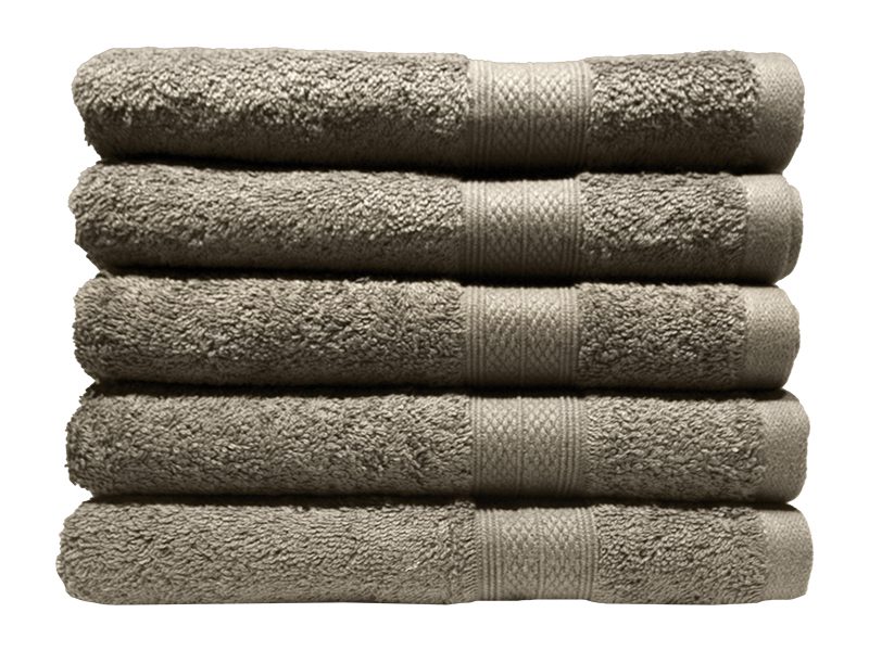 Bunty's Plush 450GSM 50x90cms Hand Towels-05 Pc Pack-Birch