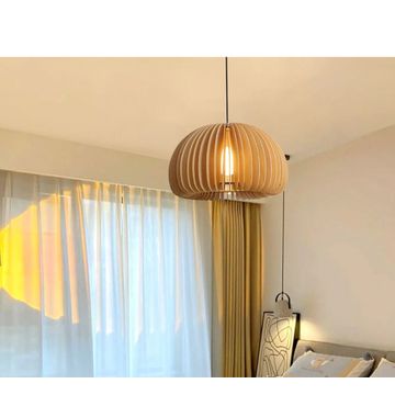 30cm Pandent lamp