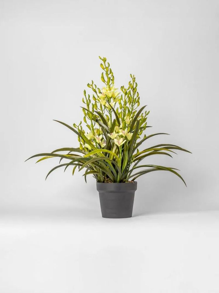 Faux Orchid in Plastic Pot – Artificial Indoor Plant 65cm