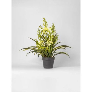 Faux Orchid in Plastic Pot – Artificial Indoor Plant 65cm