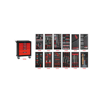 Ampro Tool Wagon with 215 Piece Tool Kit