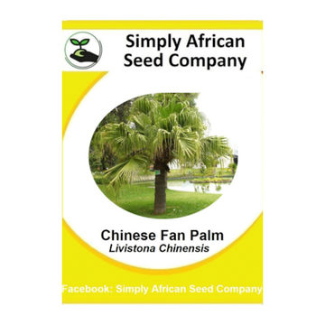 Palm Chinese Fan 3's