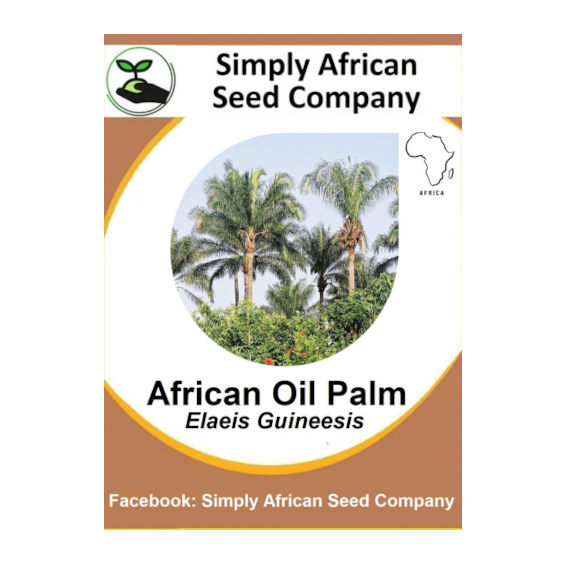 Palm African Oil (Elaeis Guineesis) 3's