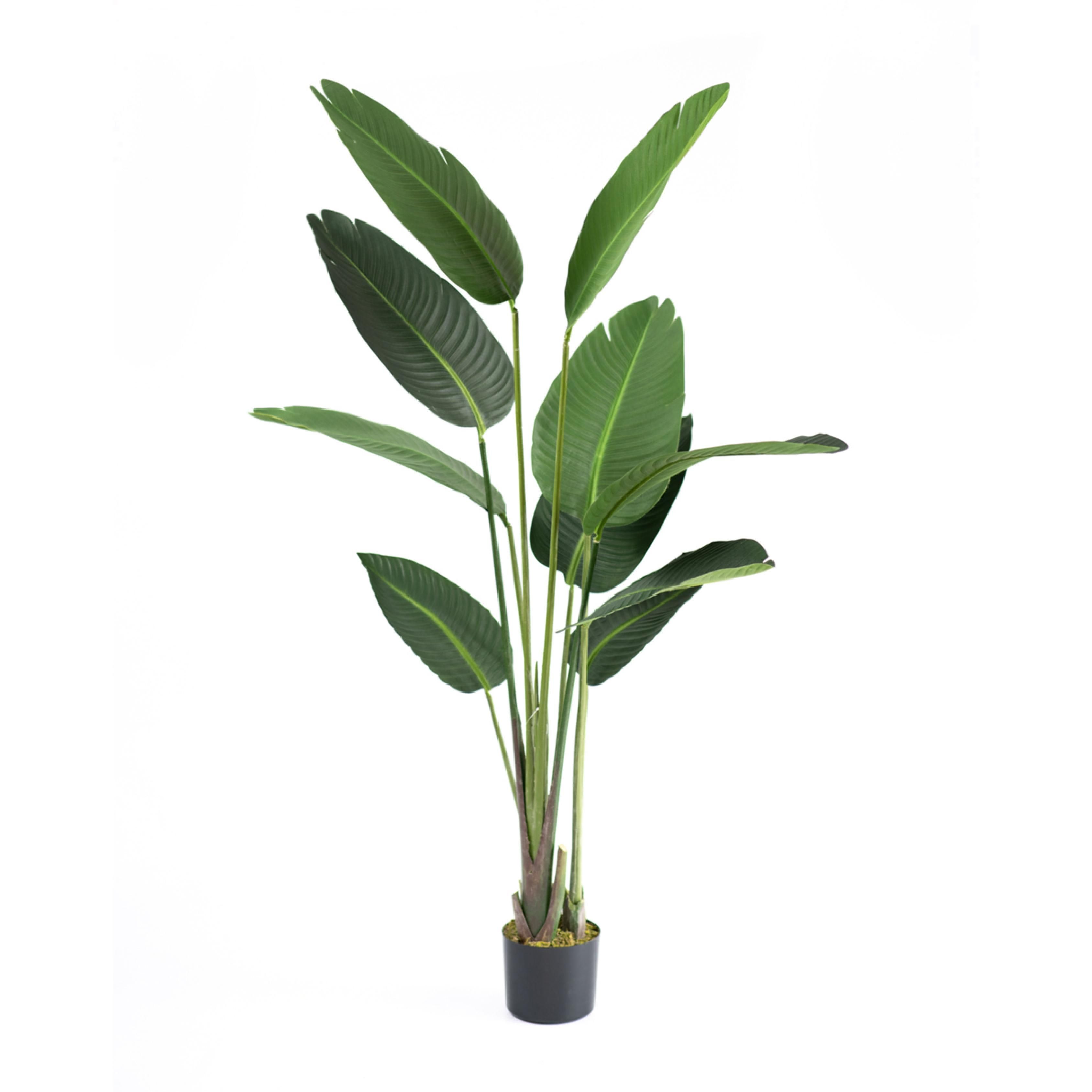 Artificial Banana Leaf Plant 1,5m LEROY MERLIN South Africa