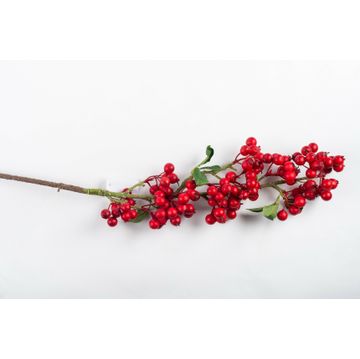 Granites Sml 80Cm Stem