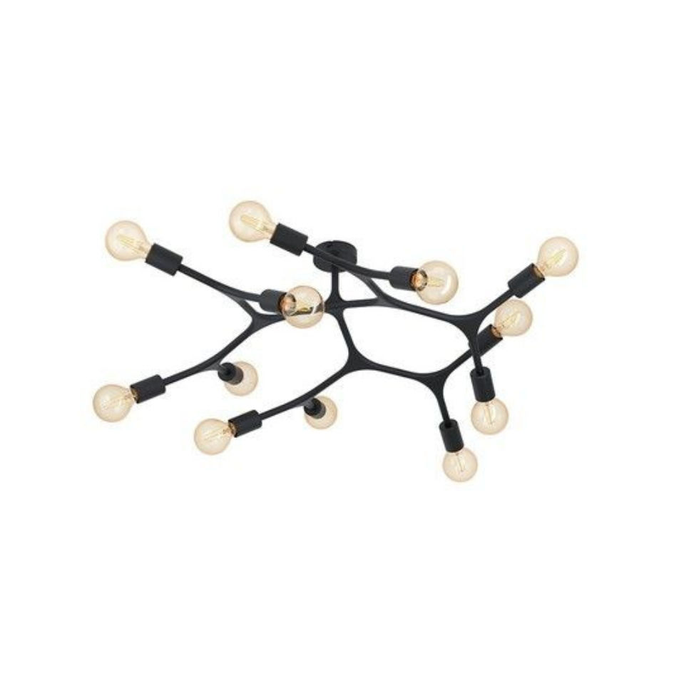 Bocadella1 12LT C/Light 920mm Black
