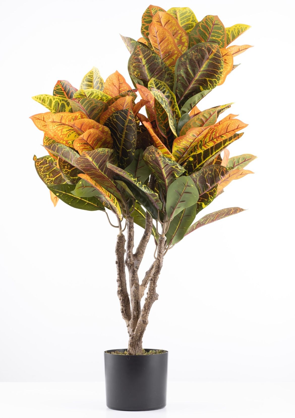 Artificial Premium Variegatum Tree - 900mmH
