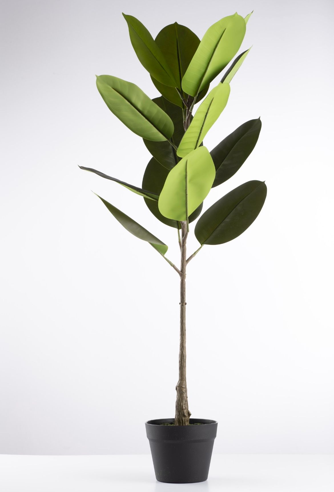 Artificial standing Ficus Tree - 700mm