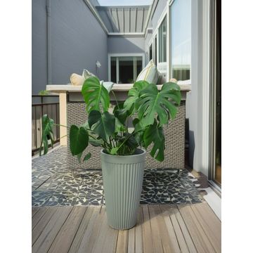 Madrid Plant Pot Medium Sage Green - Lightweight Decor Range