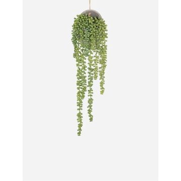 Faux Hanging Bean Plant in Cement Pot – Artificial Trailing Indoor Greenery