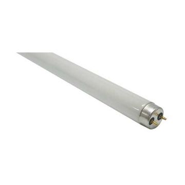 26mm T8 Fluorescent Lamp 18W 2Ft Cool White 4000K