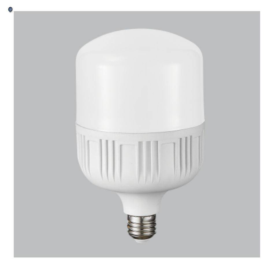 24W LED Bulb T Globe