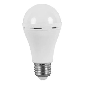 Rechargeable Globe  (Set of 3)