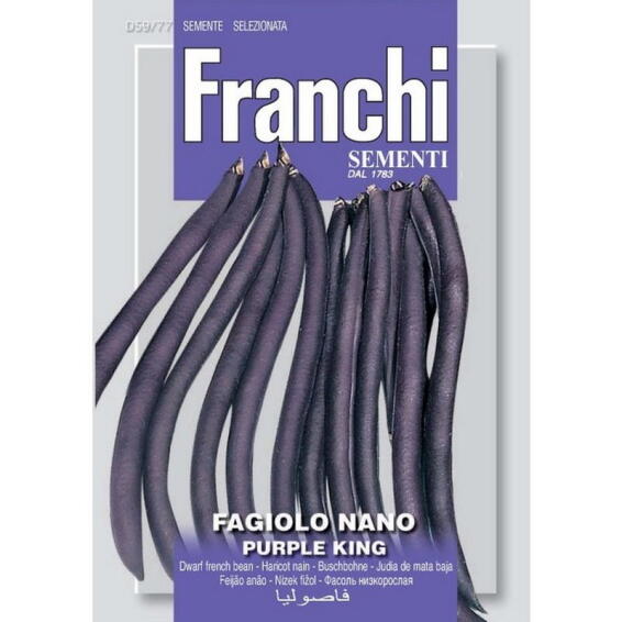 Seed, Bean Purple King, FRANCHI SEMENTI