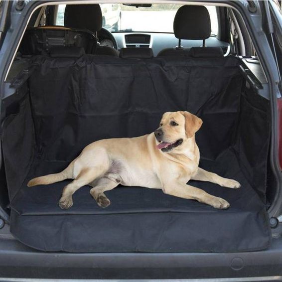 Back seat pet cover best sale