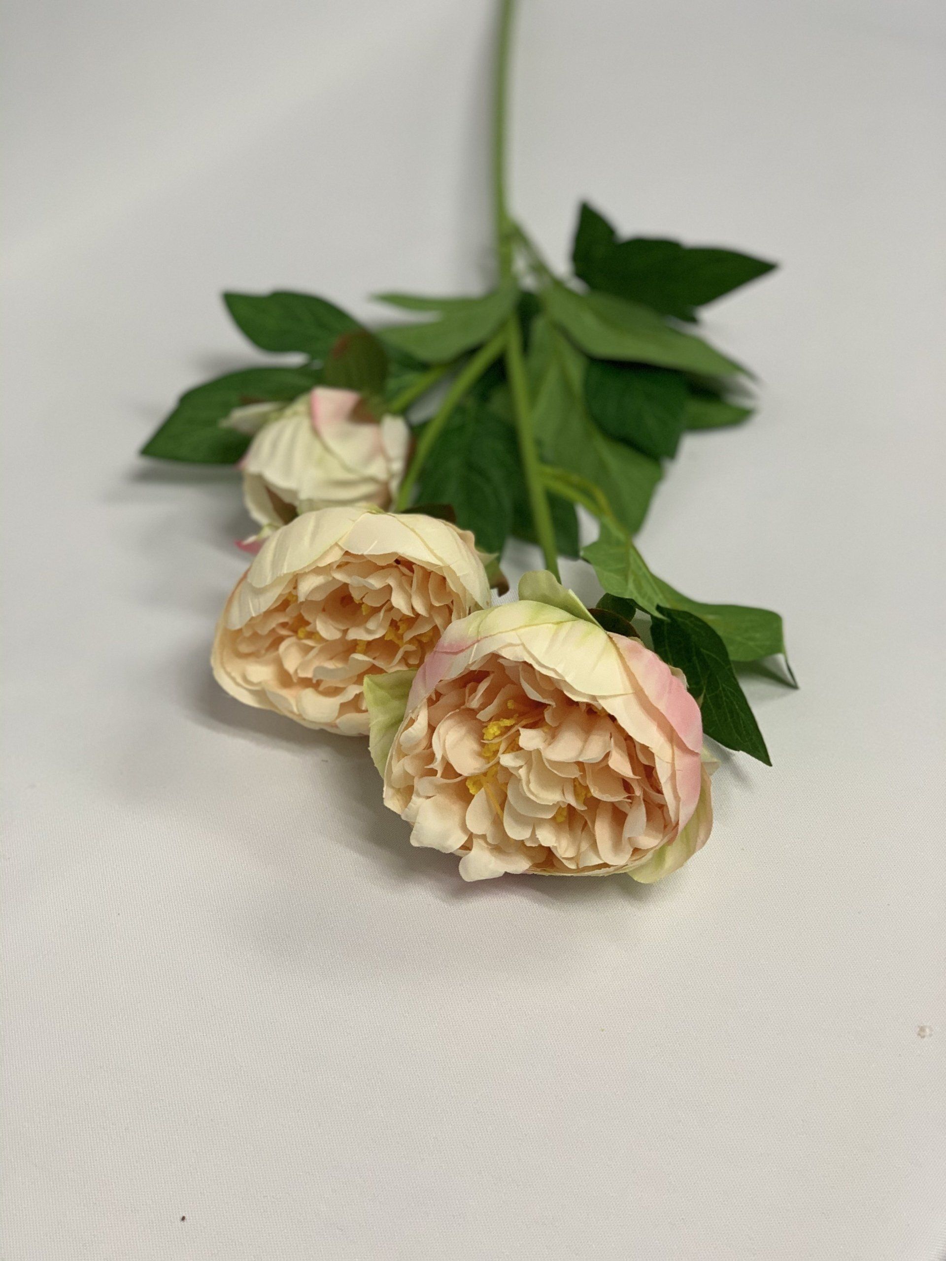 Open Peony Peach 65Cm