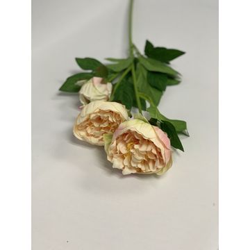Open Peony Peach 65Cm