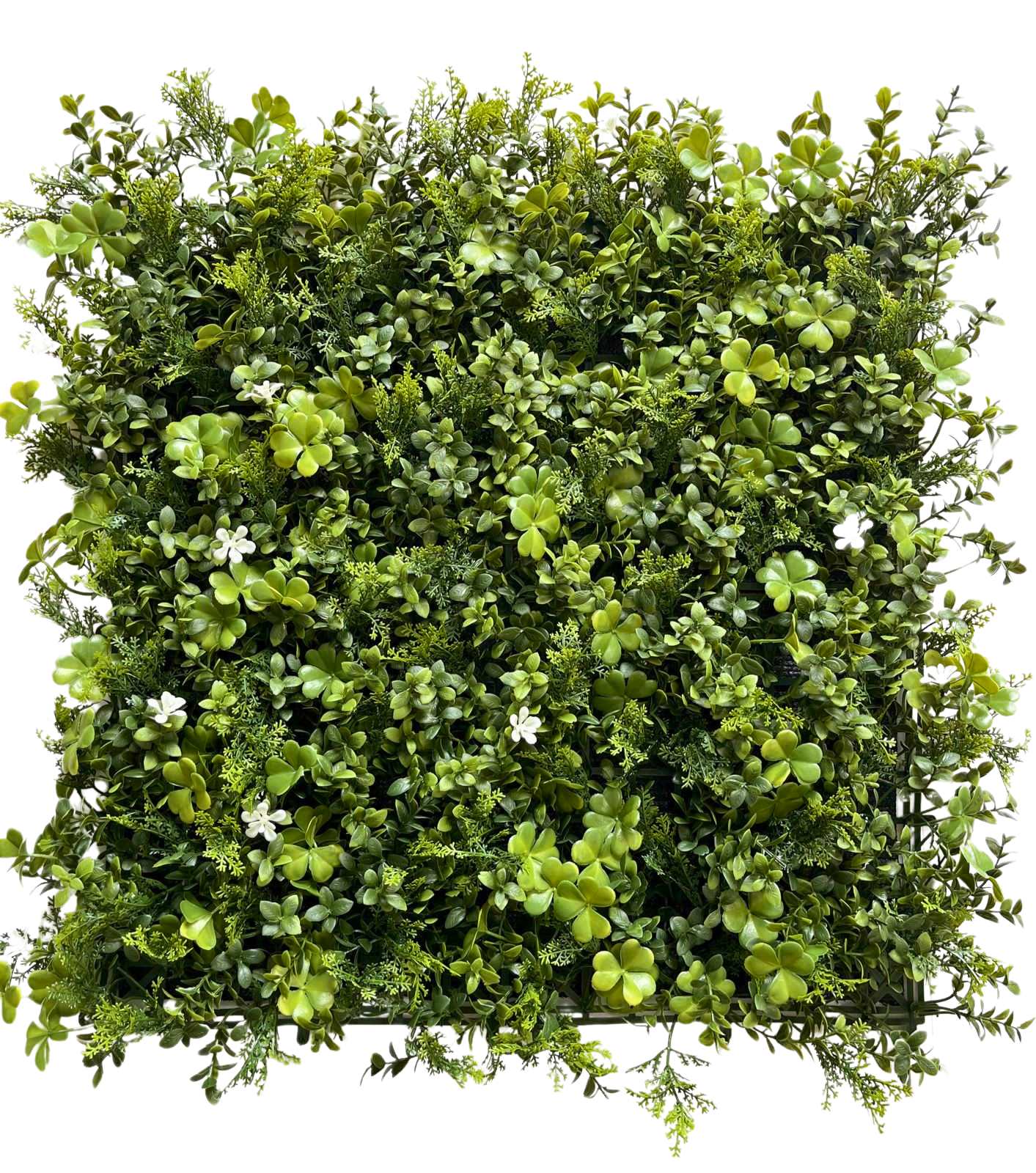 Artificial UV Protected Ivy Hedge Myrtle with flowers - 1m x 1m