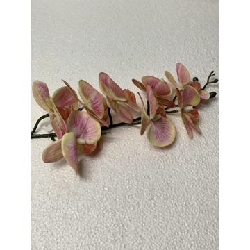 Orchid Peach Pink 100Cm