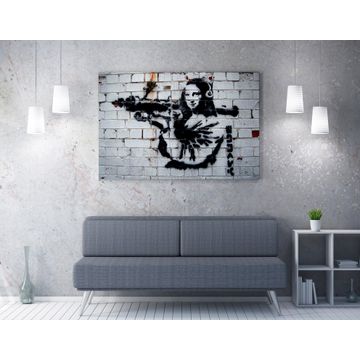 Decorative Framed Canvas Painting - WY26 (50 x 70)