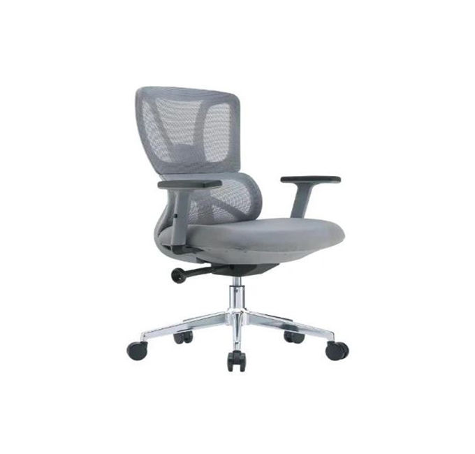 Alodius Office Chair -Grey