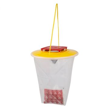 Redtop Standard Fly Catcher (Reusable) - 2 Pack