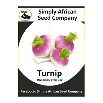 Turnip Mammoth Purple Top 30's
