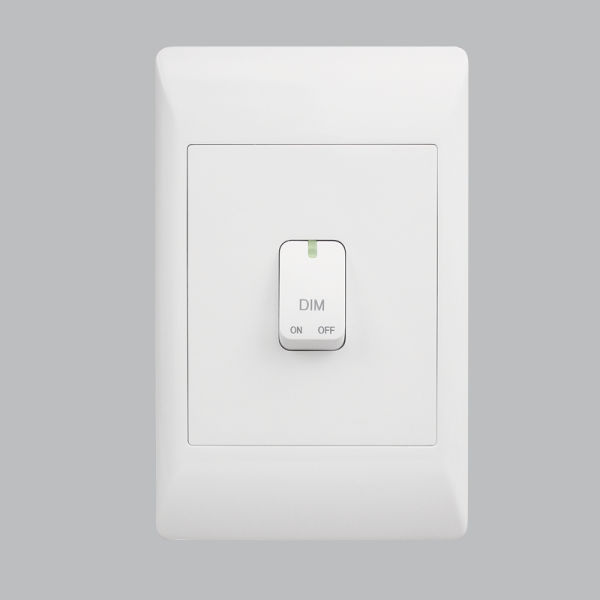 Push Dimming Switch  2x4