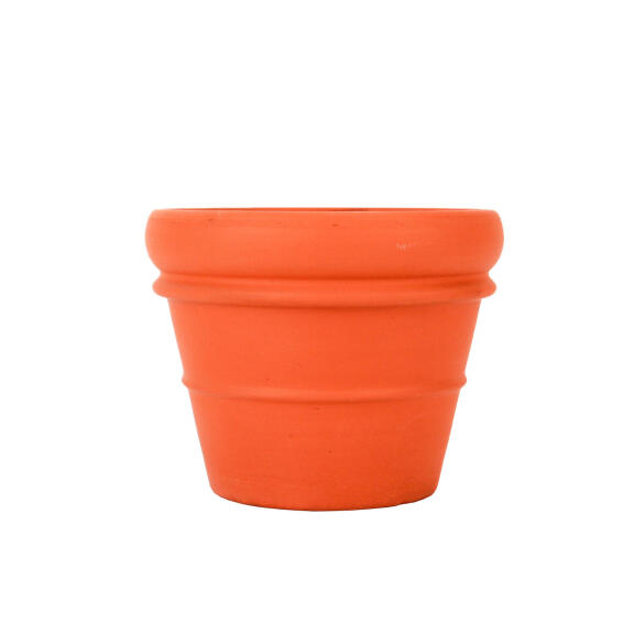 Pot Terra Double Rim With Hole 13Cm
