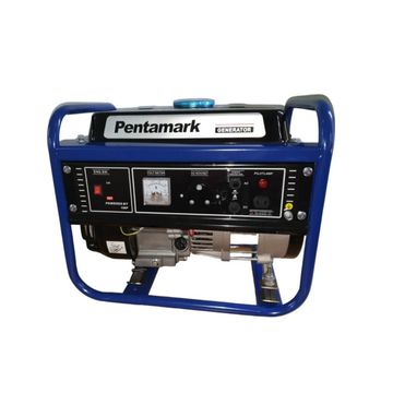 Portable Gasoline Generator 3000DC