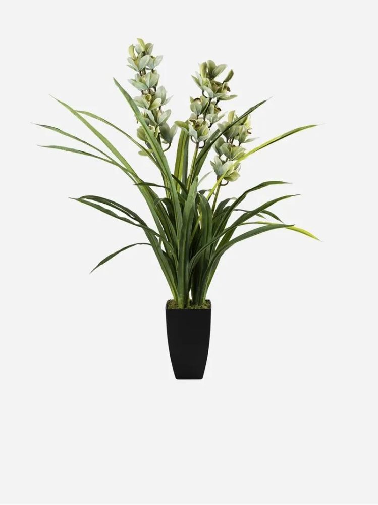 Large Faux Cymbidium Orchid in Plastic Pot – Artificial Indoor Flower 110cm